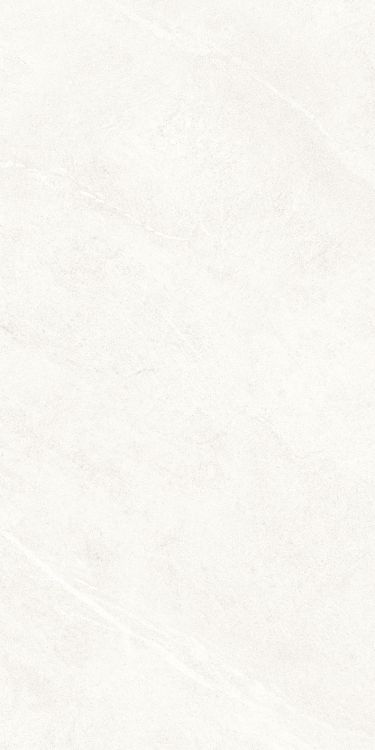 Dhara White Matte 24 x 48